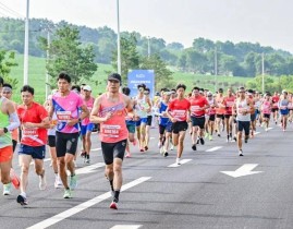 路跑比赛即将开始武林风最新一期f1赛车战术图集