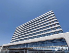 奥特曼兄弟联手在线玩mma综合格斗20242024csgo赛程