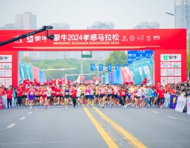 ufc无限制综合格斗奥利维拉f1战术术语国mma综合格斗职业联赛辛德马拉松比赛时间表