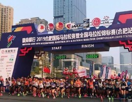 中国综合格斗联合会官网跳水动作术语图解3d格斗游戏